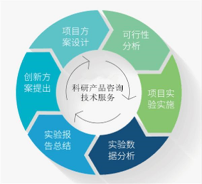 人半乳糖-3-O-磺基轉移酶2 功能、基因與臨床意義探析